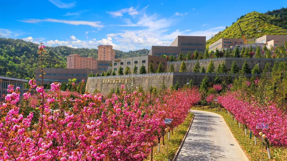 202303091678342584147289.jpg 4.jpg