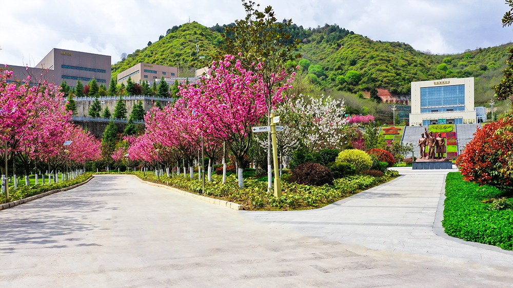 202304241682300669130741.jpg 5.jpg