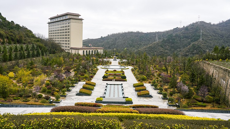 義務植樹添新春   金徽發展增活力